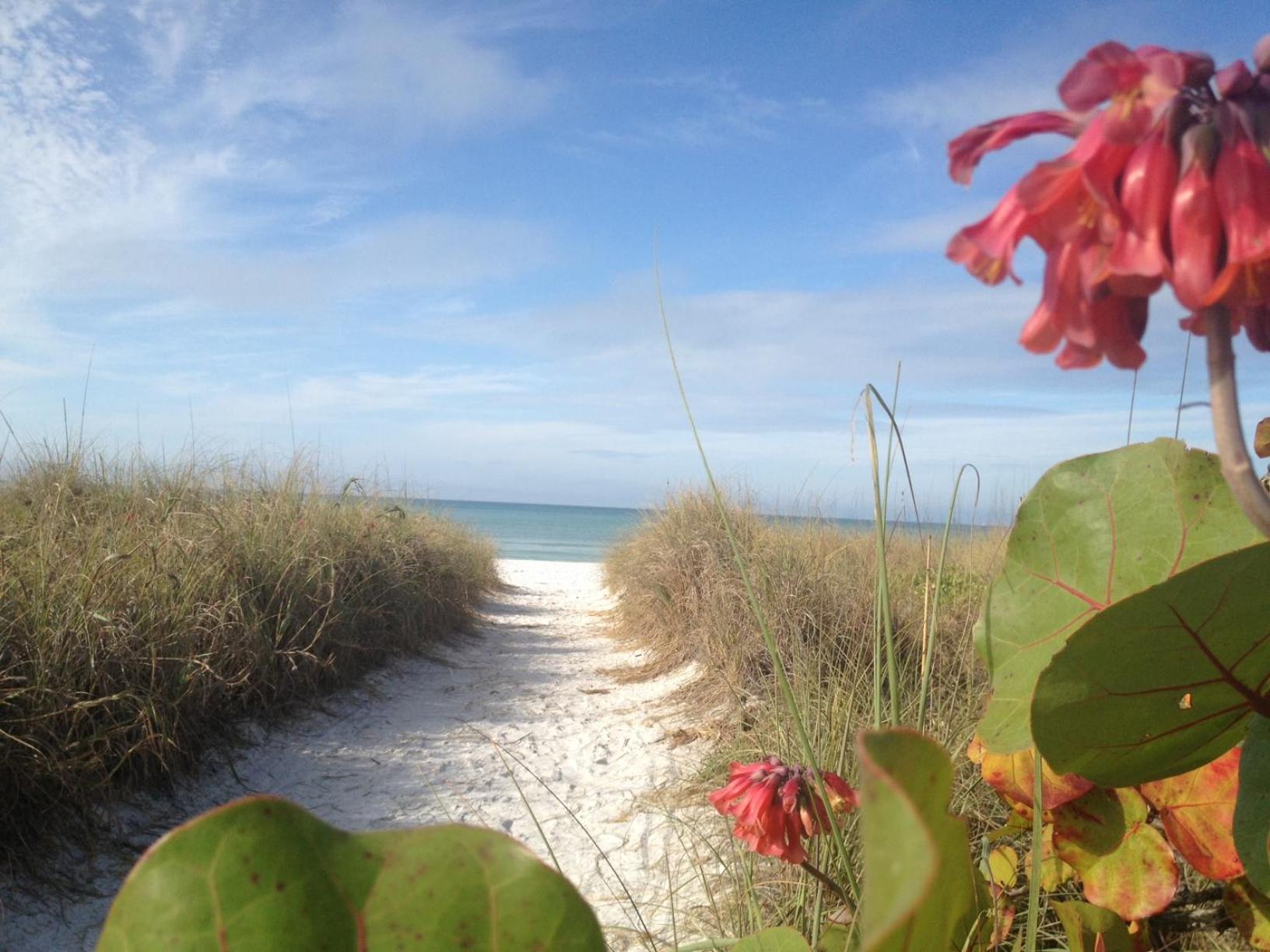 Siesta Key Inn Exteriér fotografie